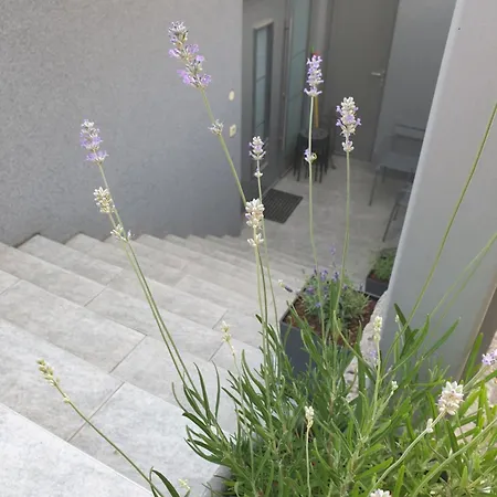 Lägenhet Emma - Free Parking, Ac, Wifi