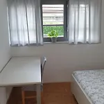 Apartmán Emma - Free Parking, Ac, Wifi *